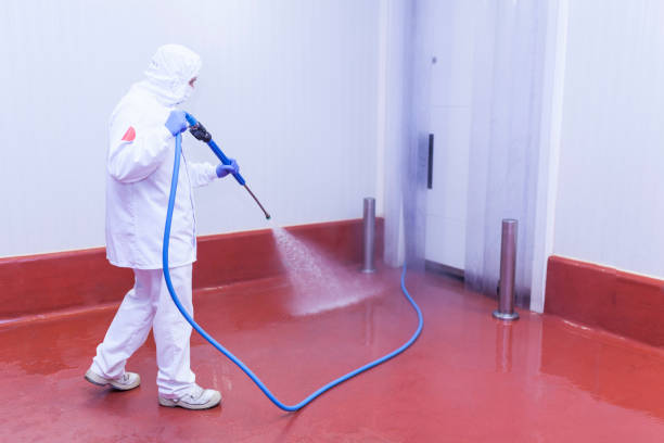 Best Parking Lot and Garage Cleaning  in Denham Springs, LA